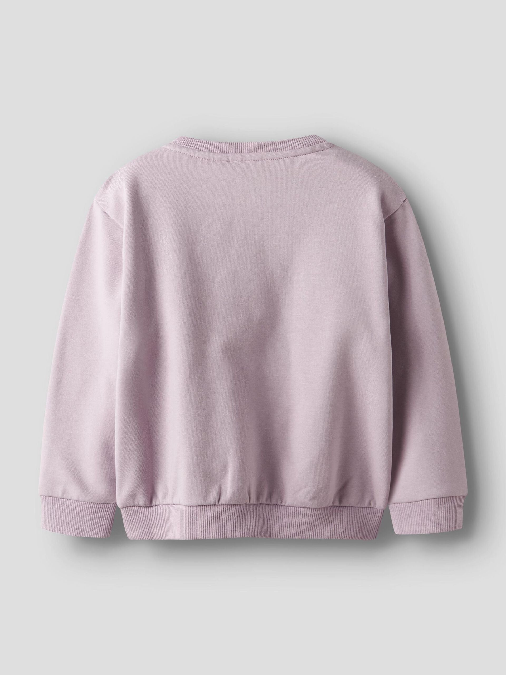 NMFSOVEA LS NREG SWEATSHIRT VAALEANPUNAINEN
