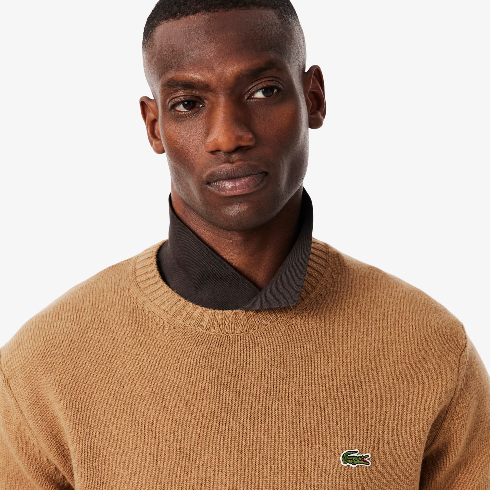 Lacoste miesten neulepusero K MONOCHROME CARDED WOOL NECK SWEATER, kameli