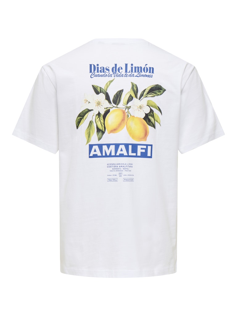 Only and Sons miesten t-paita Onsfred Life Rlx Ss Print Tee, Bright White Amalfi