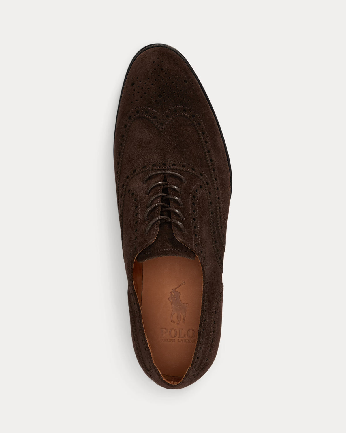 Polo Ralph Lauren miesten kengät Owen Suede Wingtip Shoe, Dark Chocolate