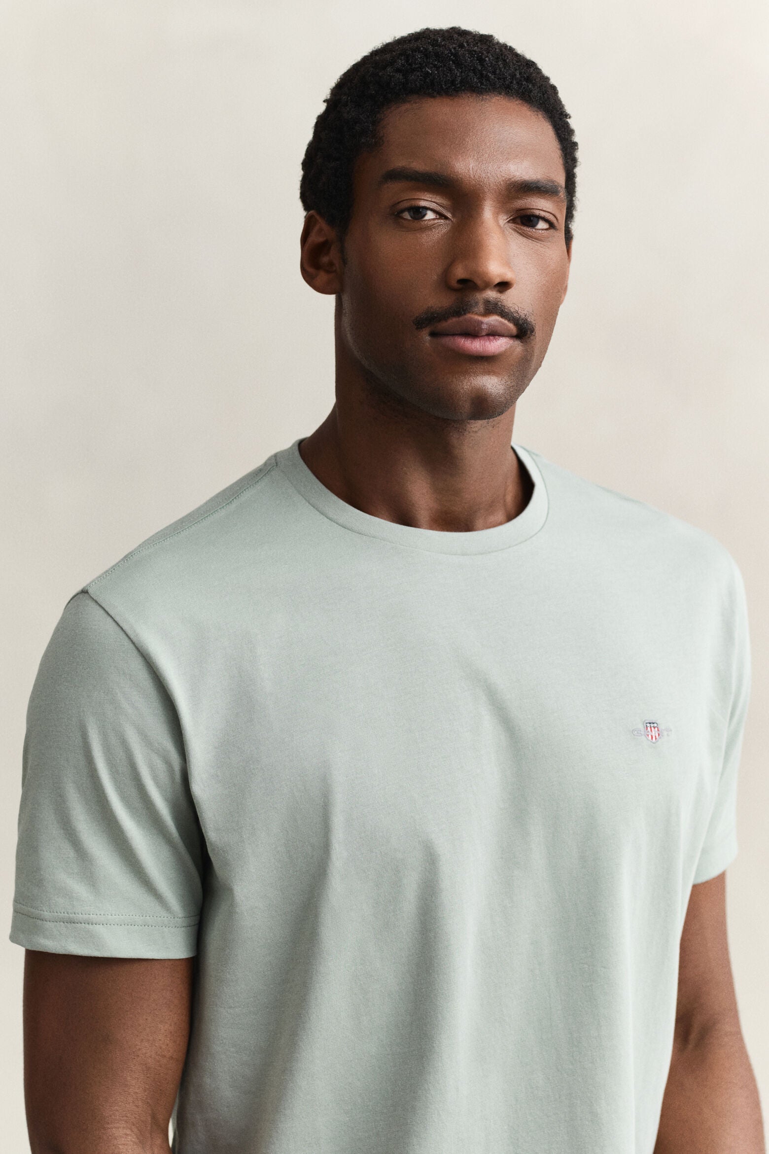 Gant miesten t-paita Reg Shield SS T-shirt, vaaleanvihreä