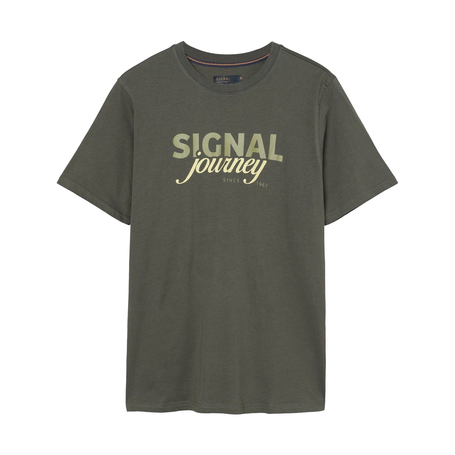 DIZZYSI LOGO TEE VIHREÄ