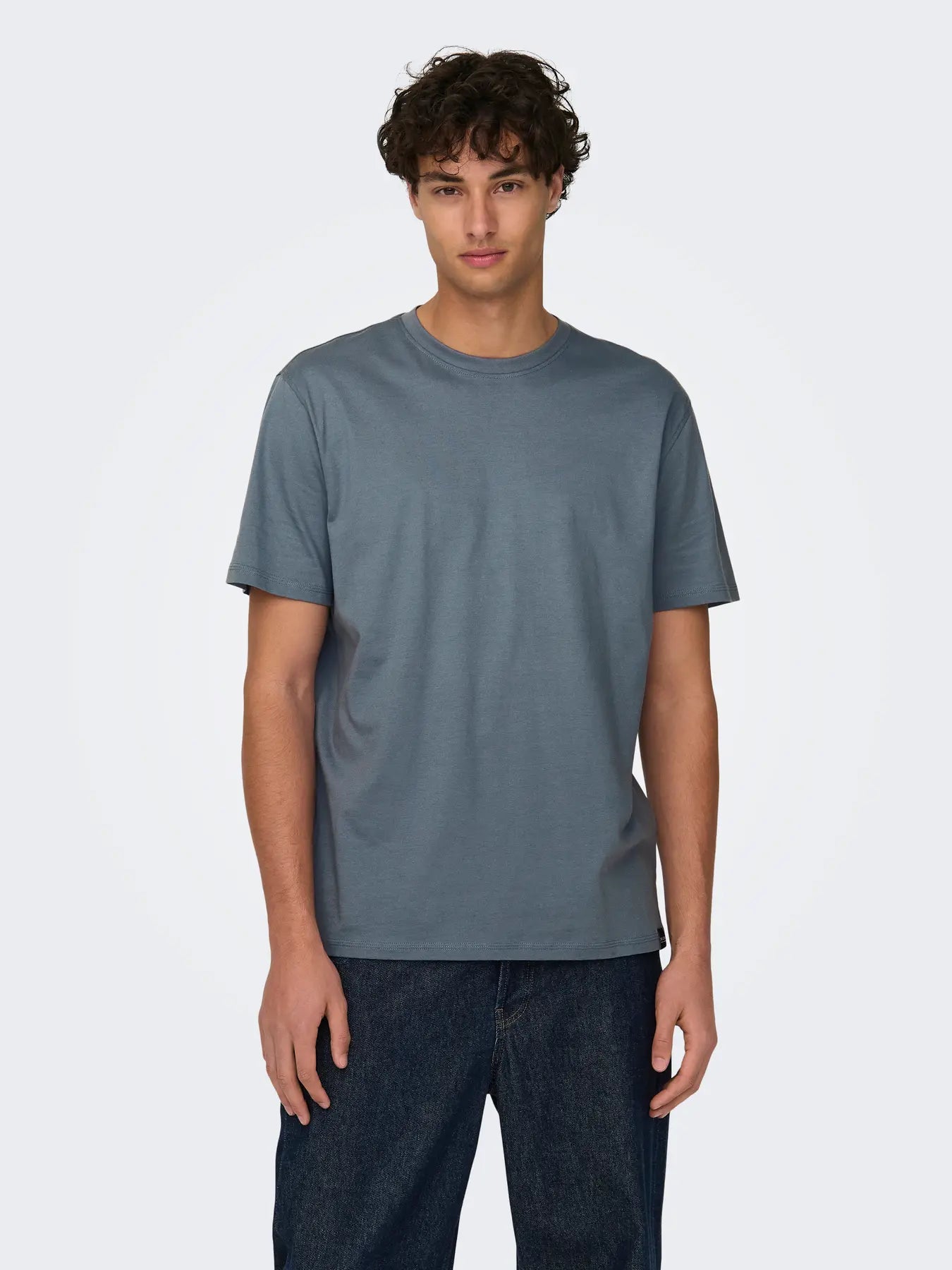 Only and Sons miesten T-paita Onsmax Life Ss Stitch Tee Noos, Flint Stone