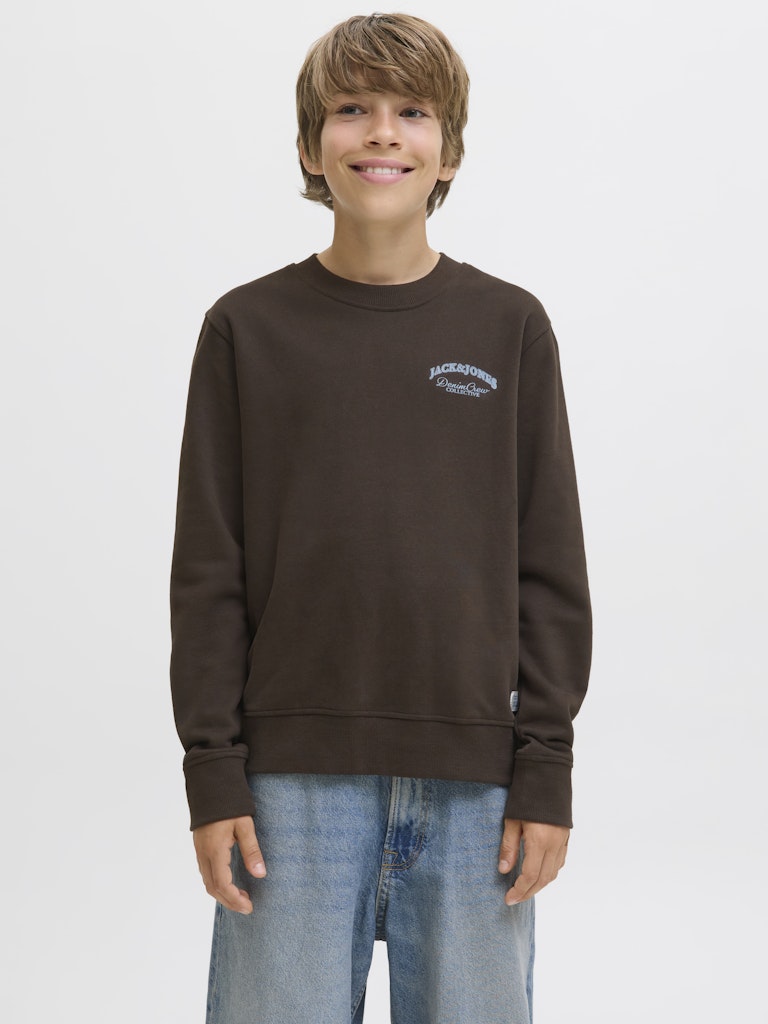 jack-and-jones-junior-college-jjebrandes-relaxed-sweatshirt-jnr-tummanruskea-1
