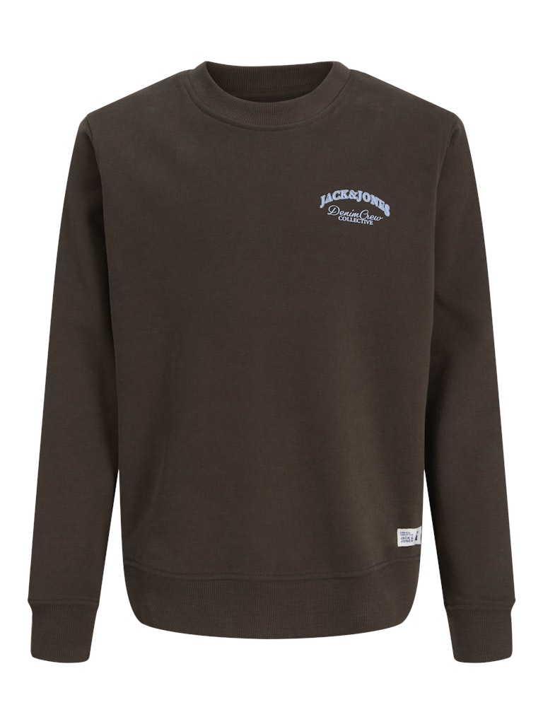 jack-and-jones-junior-college-jjebrandes-relaxed-sweatshirt-jnr-tummanruskea-2