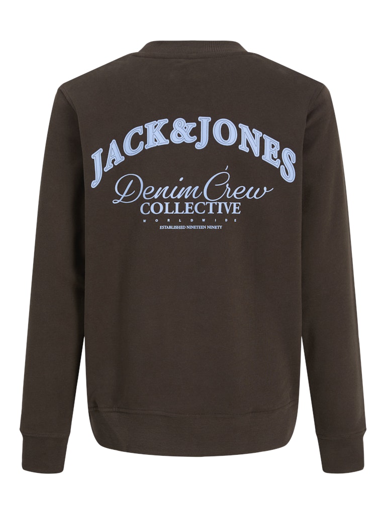 jack-and-jones-junior-college-jjebrandes-relaxed-sweatshirt-jnr-tummanruskea-3