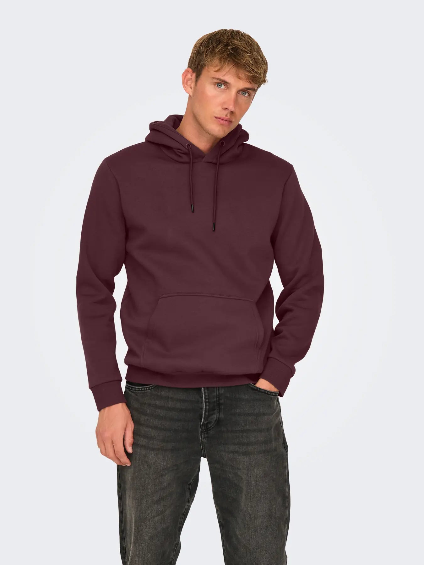only-and-sons-miesten-huppari-onsceres-life-hoodie-sweat-port-royale-1