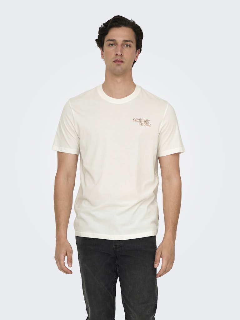 only-and-sons-miesten-t-paita-chris-life-reg-ss-tee-cloud-dancer-1