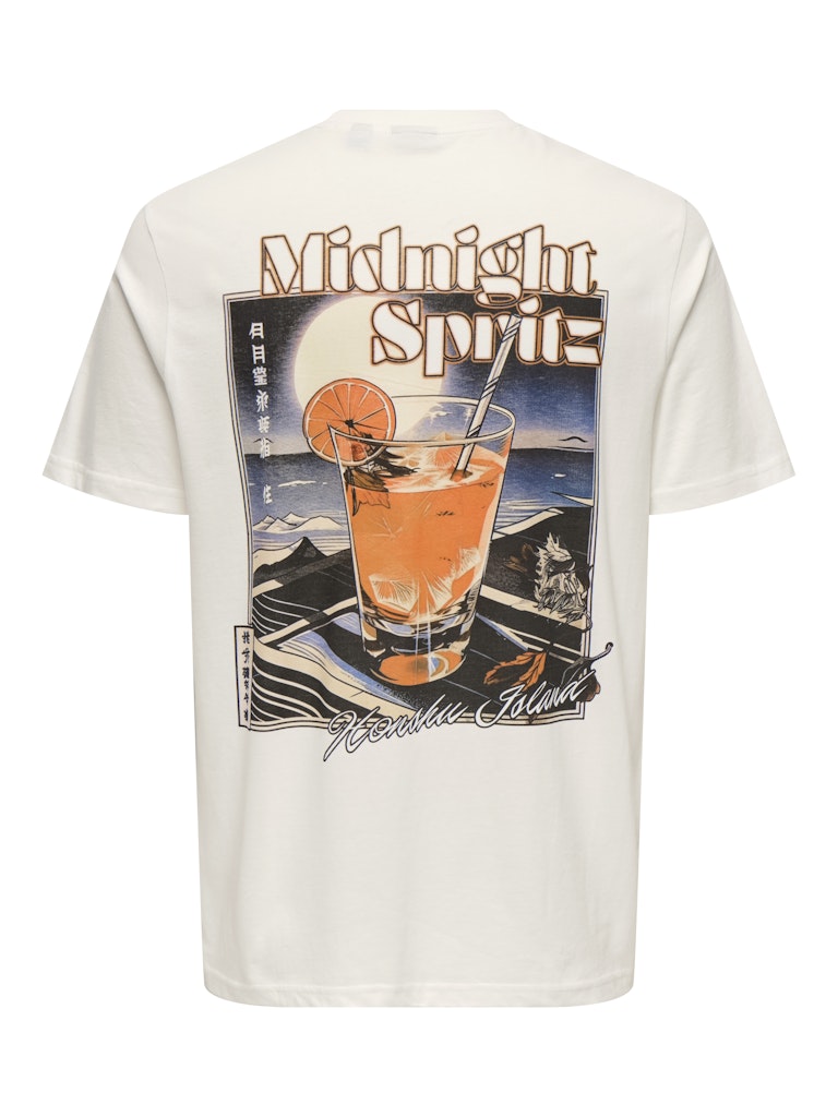 only-and-sons-miesten-t-paita-chris-life-reg-ss-tee-cloud-dancer-3