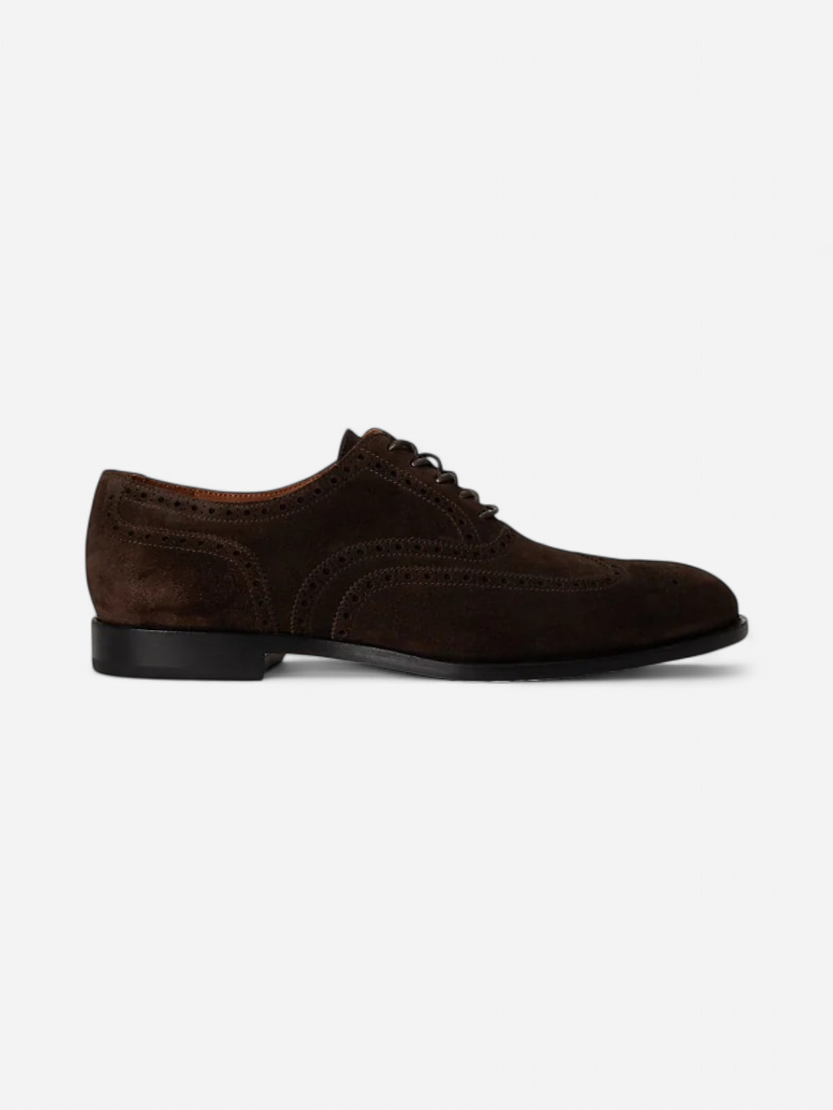 Polo Ralph Lauren miesten kengät Owen Suede Wingtip Shoe, Dark Chocolate - Kekäle.fi