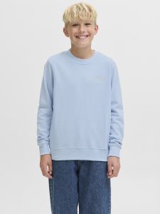 jack-and-jones-junior-college-jjebrandes-relaxed-sweatshirt-jnr-vaaleansininen-1