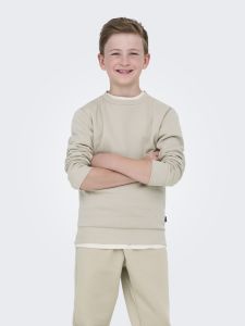 only-and-sons-junior-collegepaita-osjceres-crew-neck-sweat-beige-1