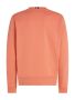 tommy-hilfiger-college-hilfiger-painted-graphic-crew-persikka-4