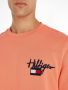 tommy-hilfiger-college-hilfiger-painted-graphic-crew-persikka-5