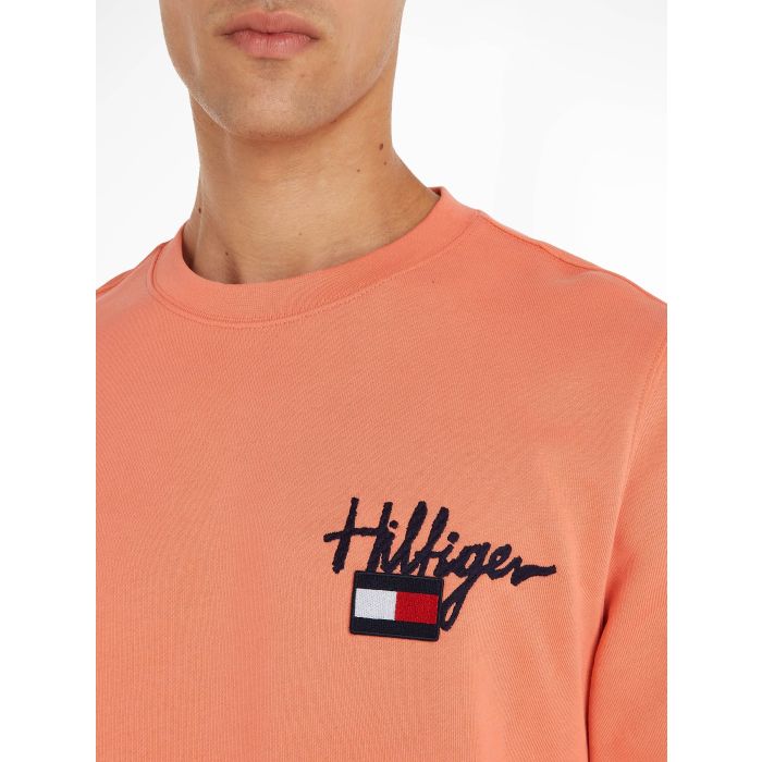 tommy-hilfiger-college-hilfiger-painted-graphic-crew-persikka-5