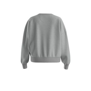 BOSS Orange naisten college, ELAND SWEATSHIRT Vaaleanharmaa