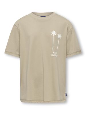 Only and Sons Junior t-paita, OSJMENES LOOSE SS O-NECK T-SHIRT Beige
