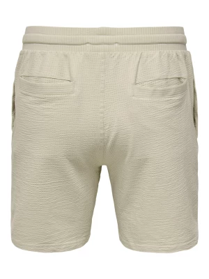 Only and Sons miesten shortsit, K KIAN REG SEERSUCKER SHORTS Beige